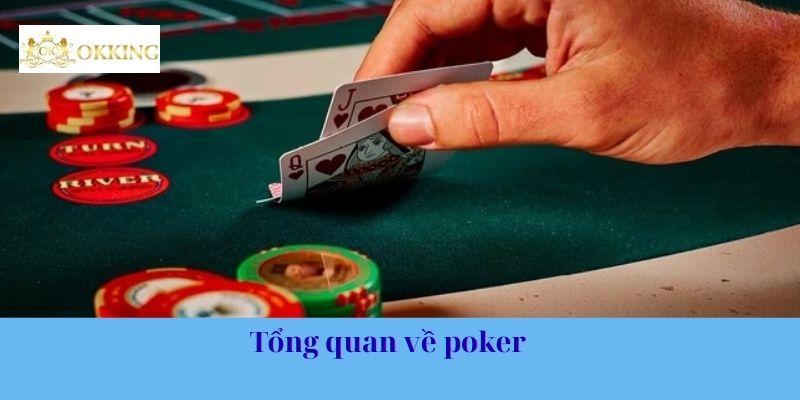 Tổng quan về poker